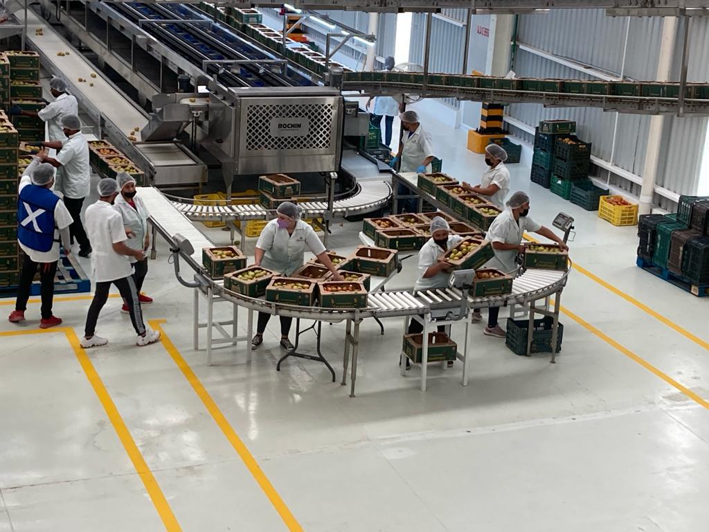 Agrifood production in Nayarit